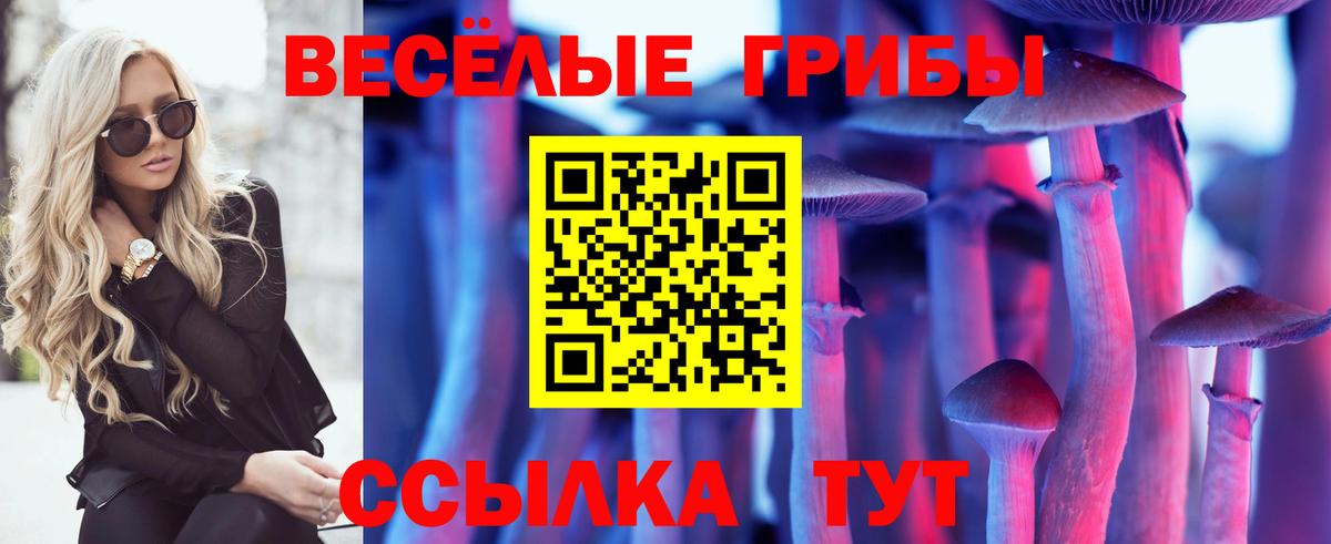 Псилоцибиновые грибы Cubensis  Вход с VPN  Ржев  Псилоцибиновые грибы Magic Shrooms 